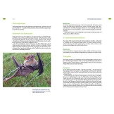 Fledermausschutz - Der Ratgeber für die Praxis