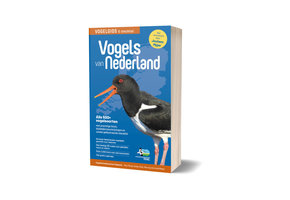 Vogels van Nederland