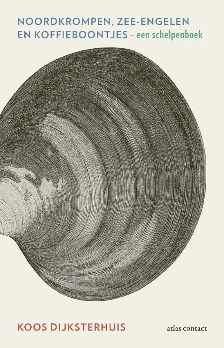 Noordkrompen, zee-engelen en koffieboontjes - een schelpenboek