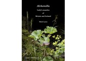 Alchemilla
