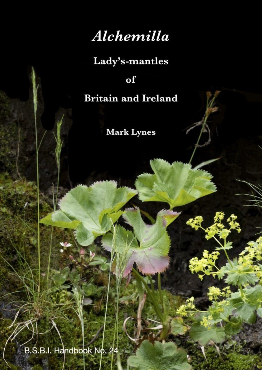 Alchemilla - Lady's-mantles of Britain and Ireland - BSBI Handbook No. 24