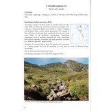 Alchemilla - Lady's-mantles of Britain and Ireland - BSBI Handbook No. 24