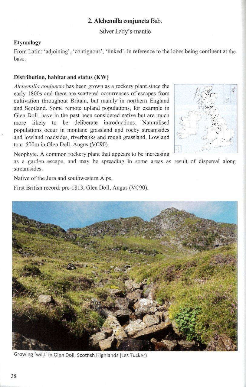 Alchemilla - Lady's-mantles of Britain and Ireland