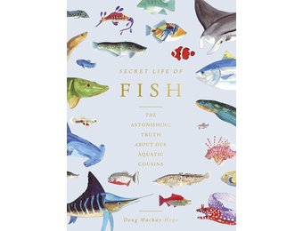 The Secret Life of Fish