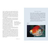 The Secret Life of Fish