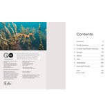 Camouflage - Nature's Masters of Disguise