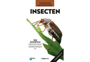 ANWB Basis Natuurgids - Insecten