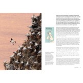 How Birds Live Together - Colonies and Communities in the Avian World
