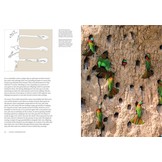 How Birds Live Together - Colonies and Communities in the Avian World