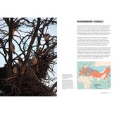 How Birds Live Together - Colonies and Communities in the Avian World