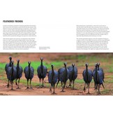 How Birds Live Together - Colonies and Communities in the Avian World