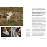 How Birds Live Together - Colonies and Communities in the Avian World