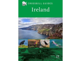 Crossbill Guide Ireland