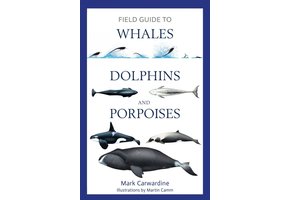 Field Guide to Whales, Dolphins and Porpoises