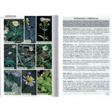 Flowers of Greece (2-Volume Set)