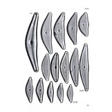 Freshwater Benthic Diatoms of Central Europe - Over 800 Common Species Used in Ecological Assessment