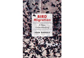 Bird Migration