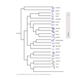 Het Geleedpotigenboek - Determinatiesleutels voor de Nederlandse Arthropoda