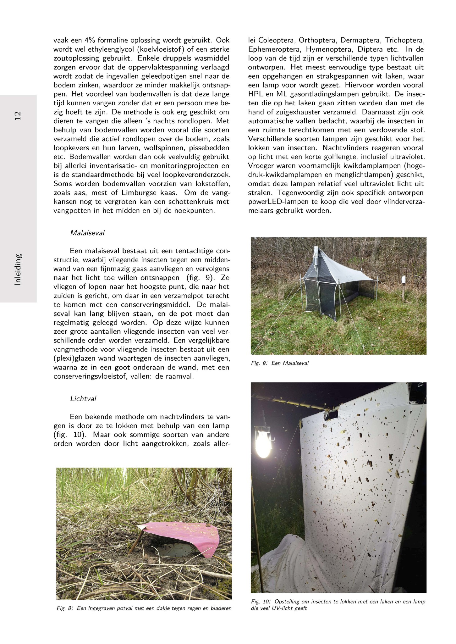 Het Geleedpotigenboek - Determinatiesleutels voor de Nederlandse Arthropoda