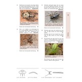 Het Geleedpotigenboek - Determinatiesleutels voor de Nederlandse Arthropoda