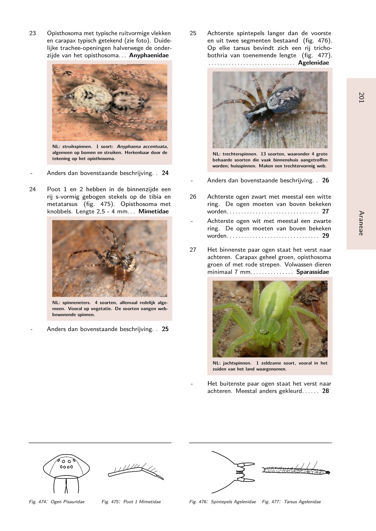 Het Geleedpotigenboek - Determinatiesleutels voor de Nederlandse Arthropoda