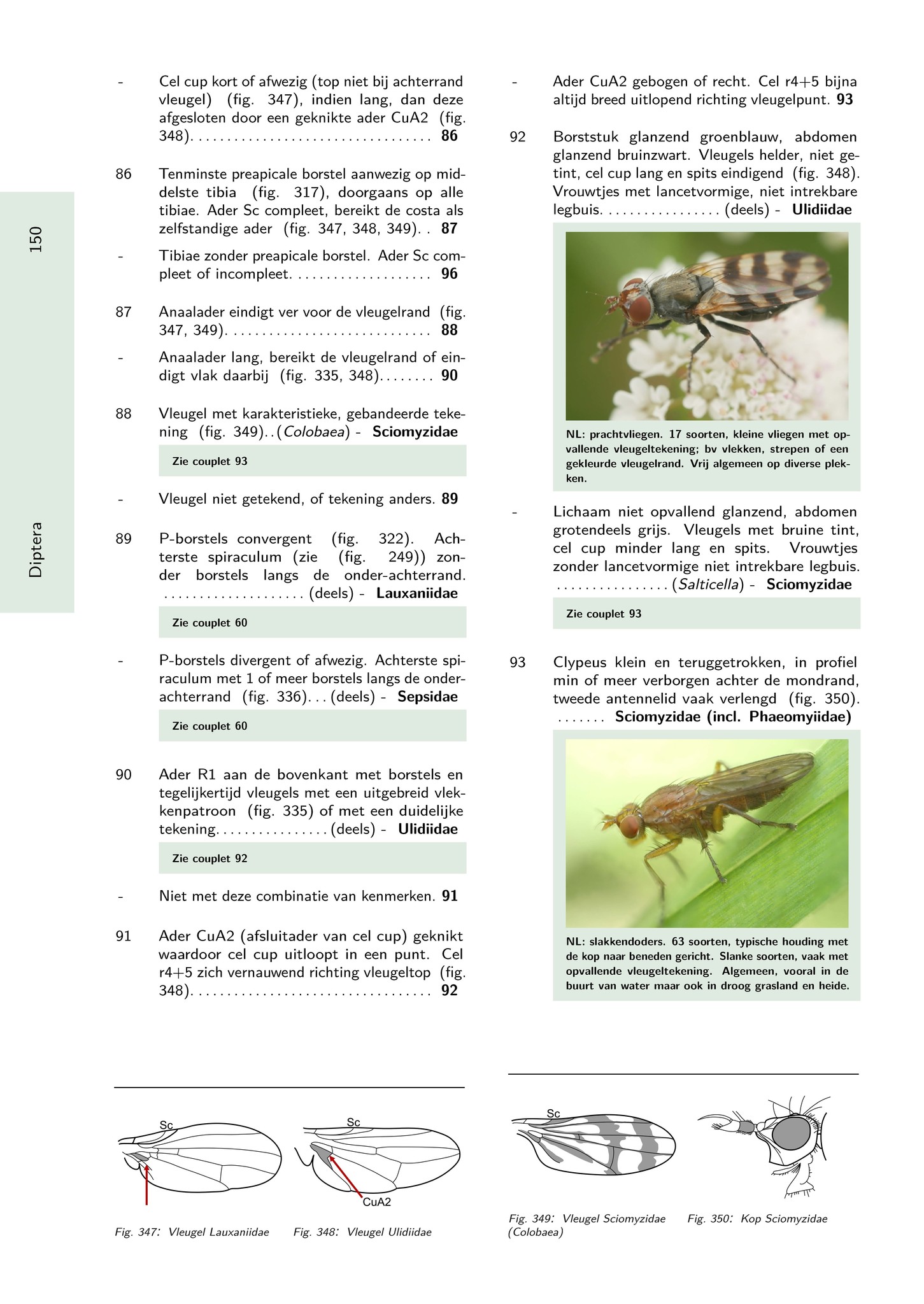 Het Geleedpotigenboek - Determinatiesleutels voor de Nederlandse Arthropoda