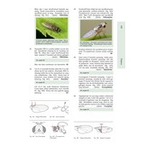 Het Geleedpotigenboek - Determinatiesleutels voor de Nederlandse Arthropoda