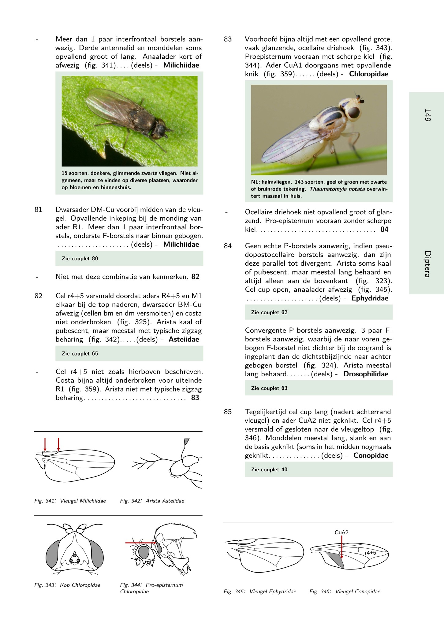 Het Geleedpotigenboek - Determinatiesleutels voor de Nederlandse Arthropoda