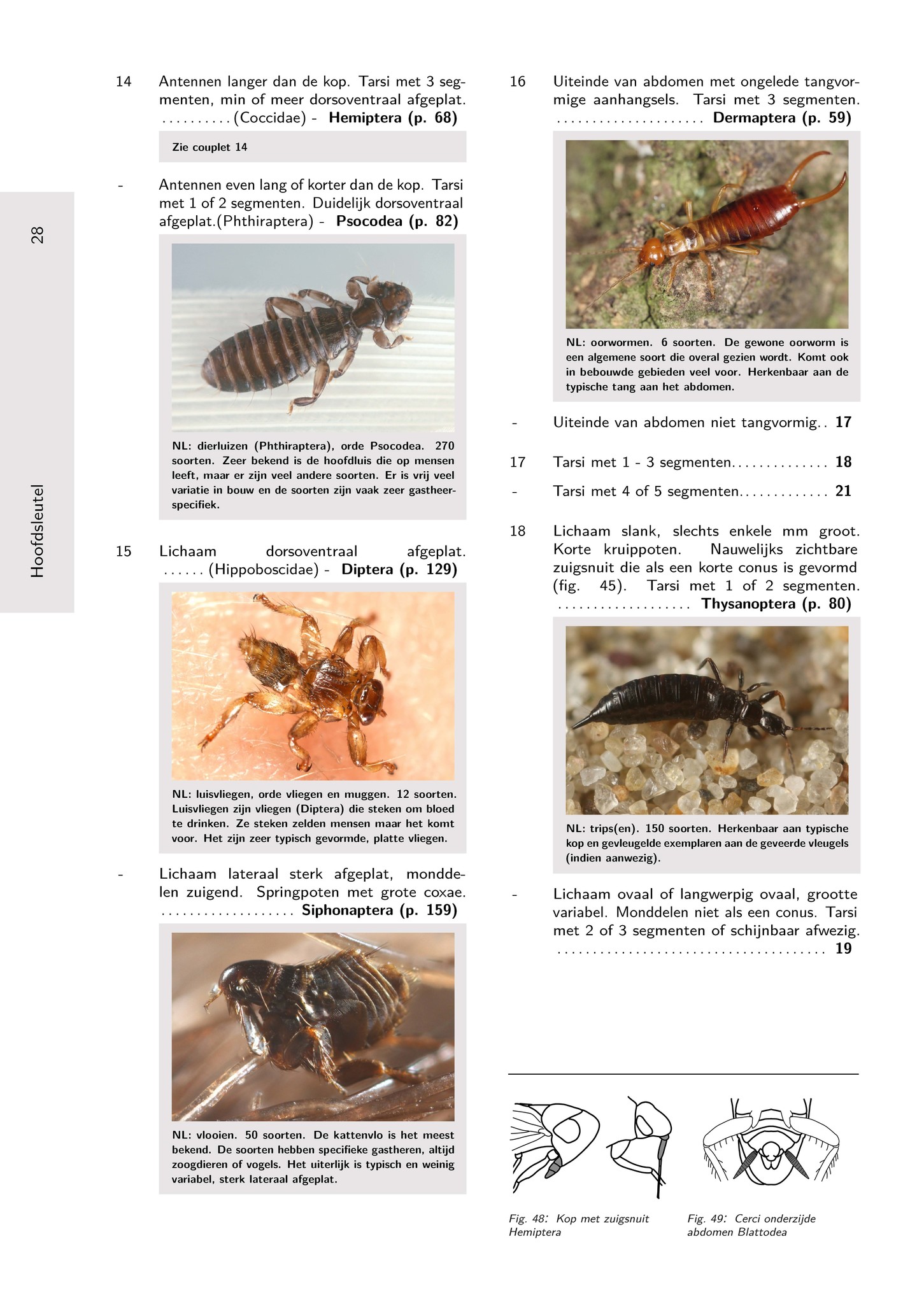 Het Geleedpotigenboek - Determinatiesleutels voor de Nederlandse Arthropoda