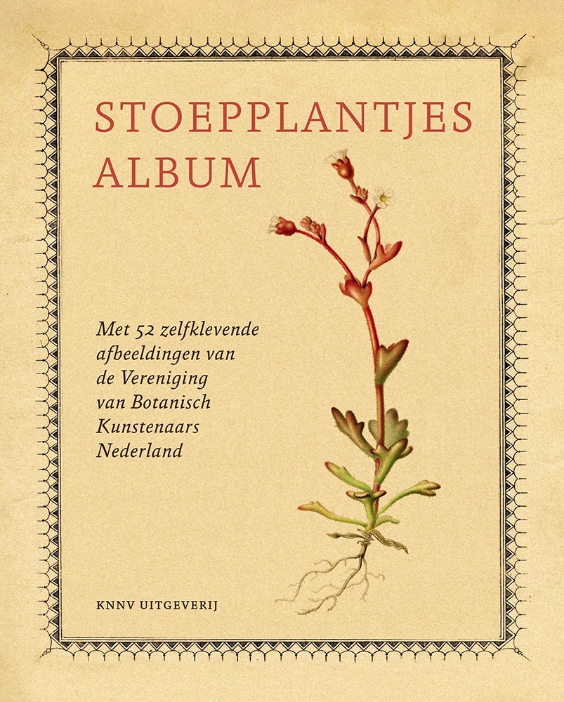 Stoepplantjesalbum - Met 52 zelfklevende afbeeldingen van de Vereniging van Botanisch Kunstenaars Nederland