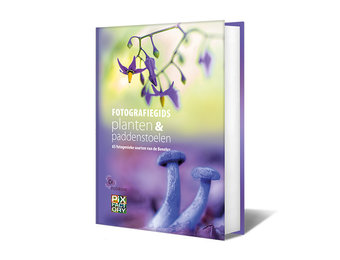Fotografiegids Planten & Paddenstoelen