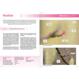 Fotografiegids Planten & Paddenstoelen - 65 fotogenieke soorten van de Benelux