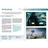 Fotografiegids Planten & Paddenstoelen - 65 fotogenieke soorten van de Benelux