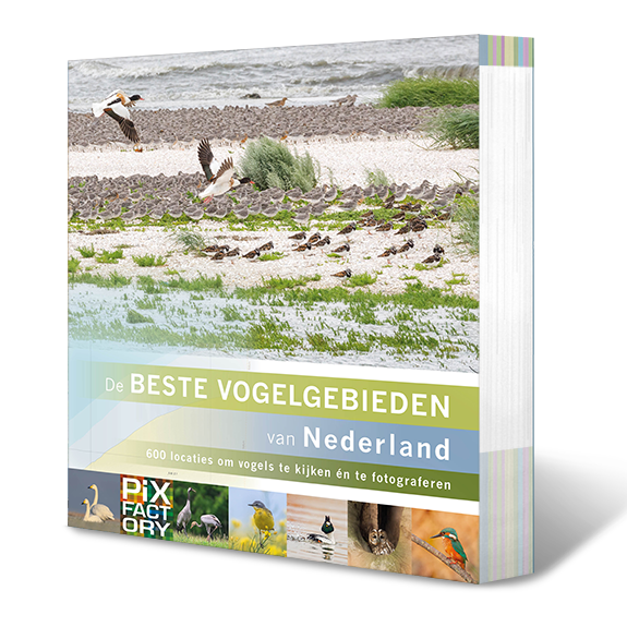De Beste Vogelgebieden van Nederland - 600 locaties om vogels te kijken én te fotograferen