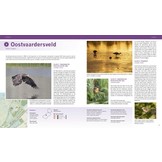 De Beste Vogelgebieden van Nederland - 600 locaties om vogels te kijken én te fotograferen