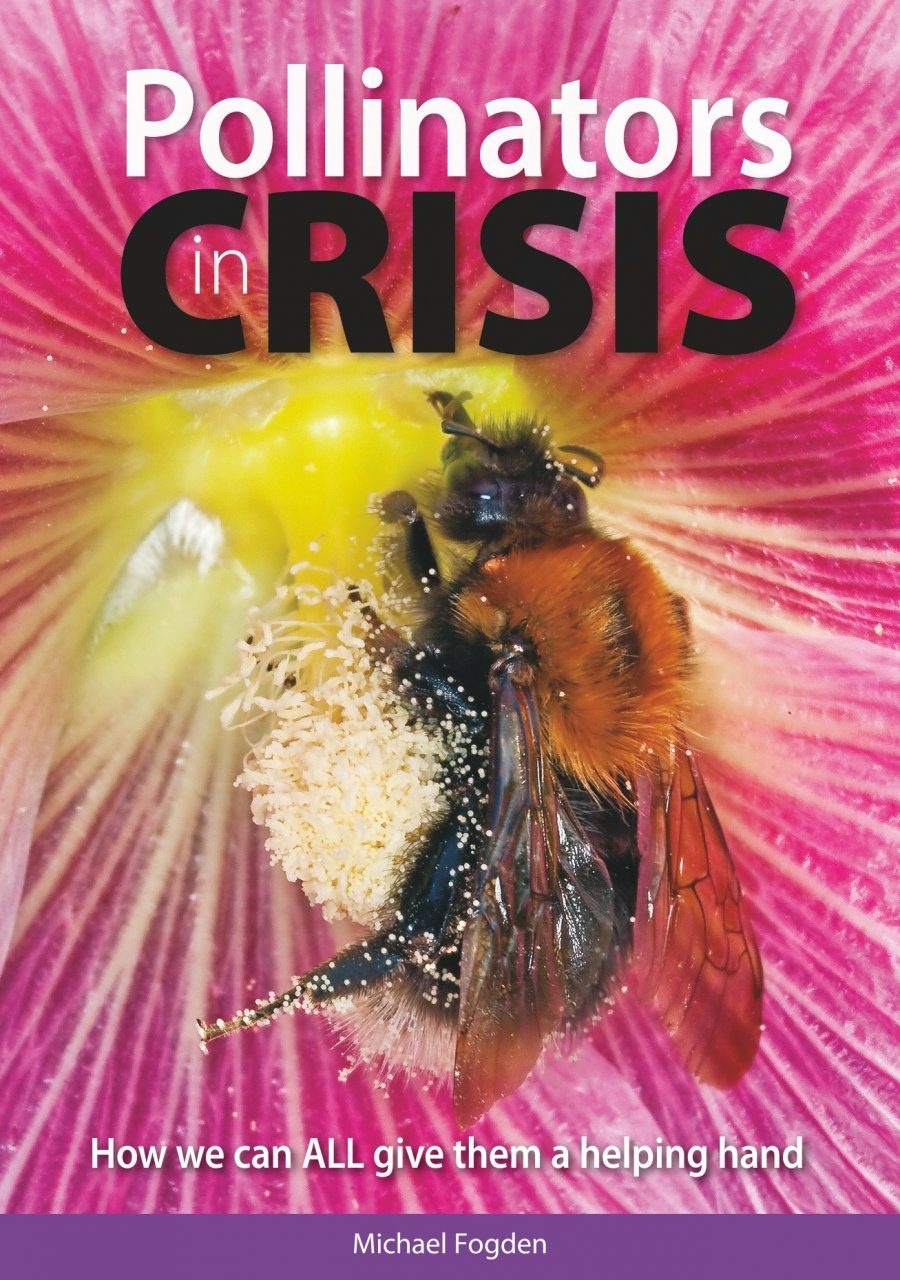 Pollinators in Crisis - How we can alll give them a helping hand