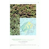 The Lycopods and Ferns of The Drakensberg and Lesotho