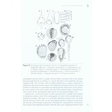 The Lycopods and Ferns of The Drakensberg and Lesotho