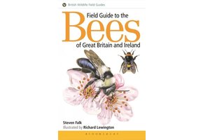 Field Guide to the Bees of Britain and Ireland