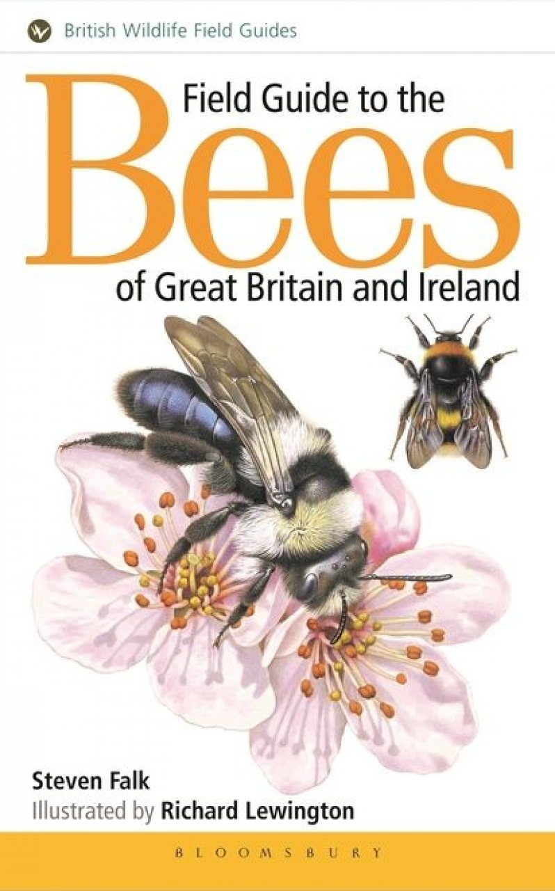 Field Guide to the Bees of Britain and Ireland