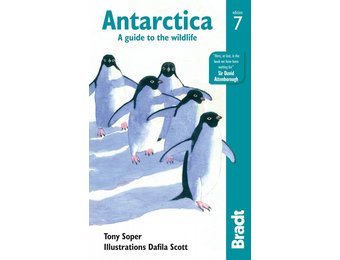 Bradt Wildlife Guide: Antarctica