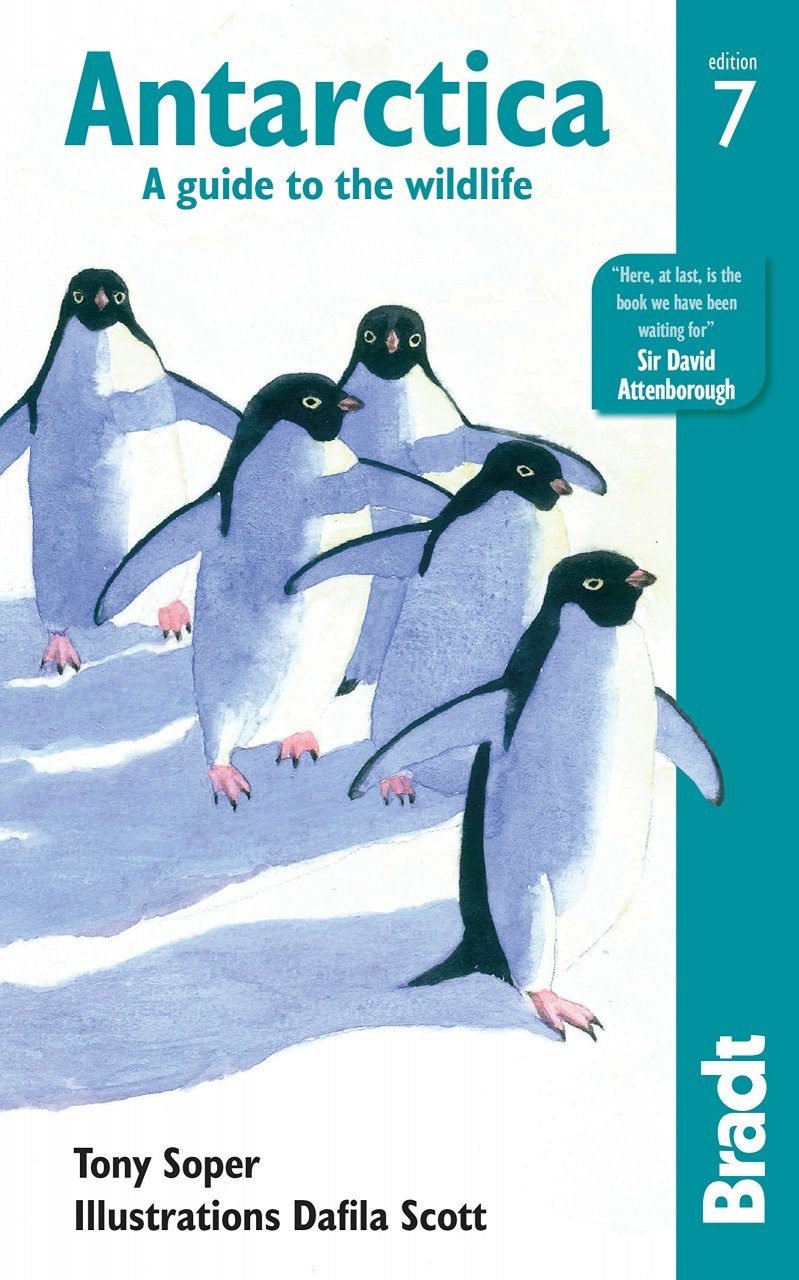 Bradt Wildlife Guide: Antarctica - A Guide to the Wildlife