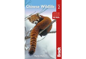 Bradt Wildlife Guide: Chinese Wildlife