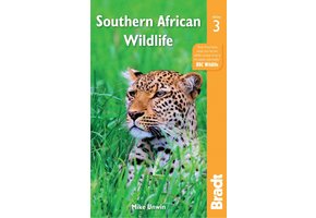 Bradt Wildlife Guide: Southern African Wildlife