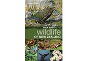 Field Guide to the Wildlife of New Zealand