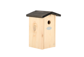 Nest box Blue tit