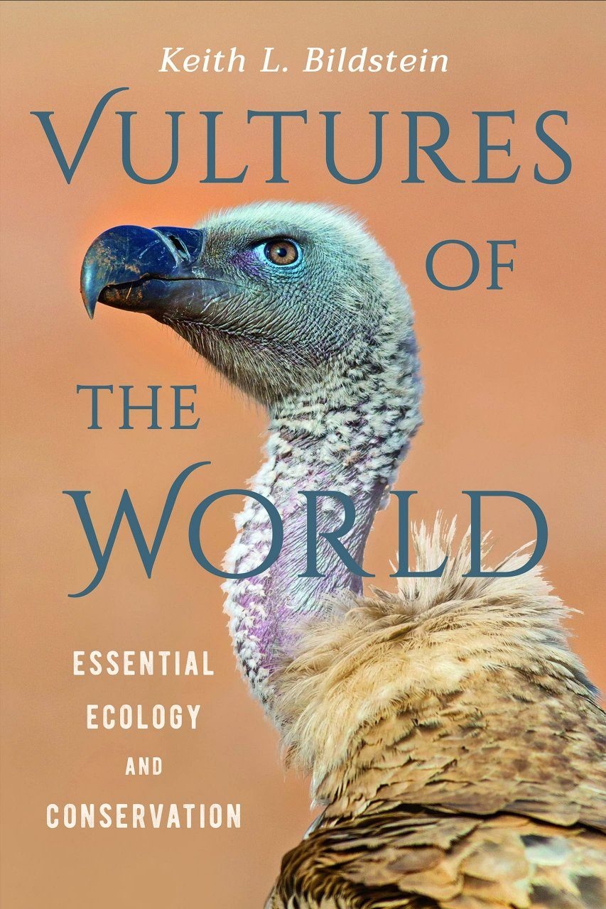 Vultures of the World - Essential Ecology and Conservation