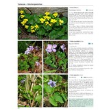 Flora Germanica  (2-Bände) - Alle Farn- und Blütenpflanzen Deutschlands in Text und Bild