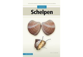 Veldgids Schelpen