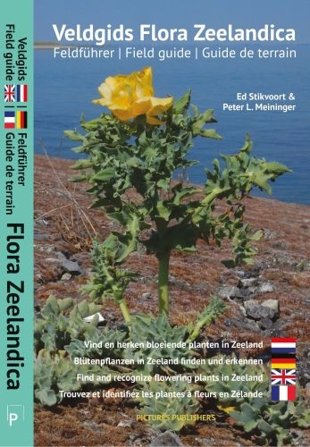 Veldgids Flora Zeelandica - Feldführer